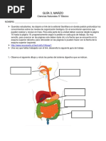 Guía SISTEMA DIGESTIVO