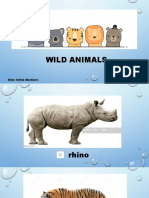 Wild Animals (4 years old)