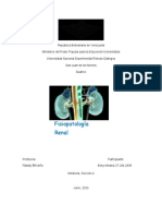 Fisiopatologia Renal