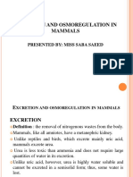 Excretion and Osmoregulation in Mammals: Presented By: Miss Saba Saeed