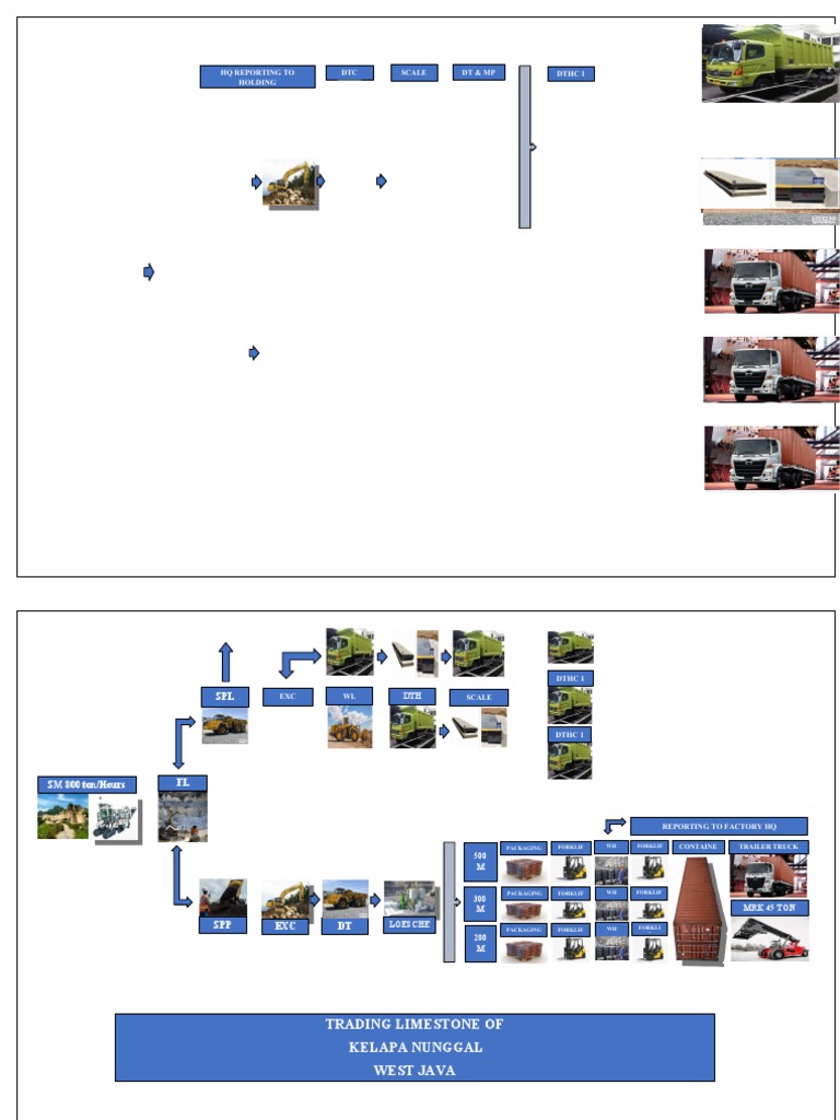 DTHC Reporting and Packaging Overview | PDF