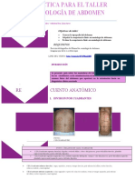 Semiología abdominal