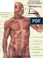 Anatomia Humana Tomo 1