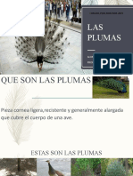 las plumas.pptx