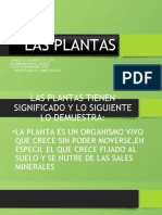 Las Plantas