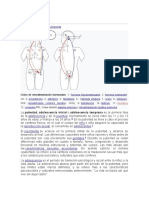 Pubertad y Adolescencia