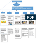 Mapa Coceptual