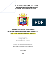 Universidad Nacional del Altiplano - Puno titulo optimizado