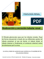 TEMA 20 REABSORCION Y SECRECION TUBULAR.pdf