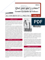 CIP_22_ES.pdf