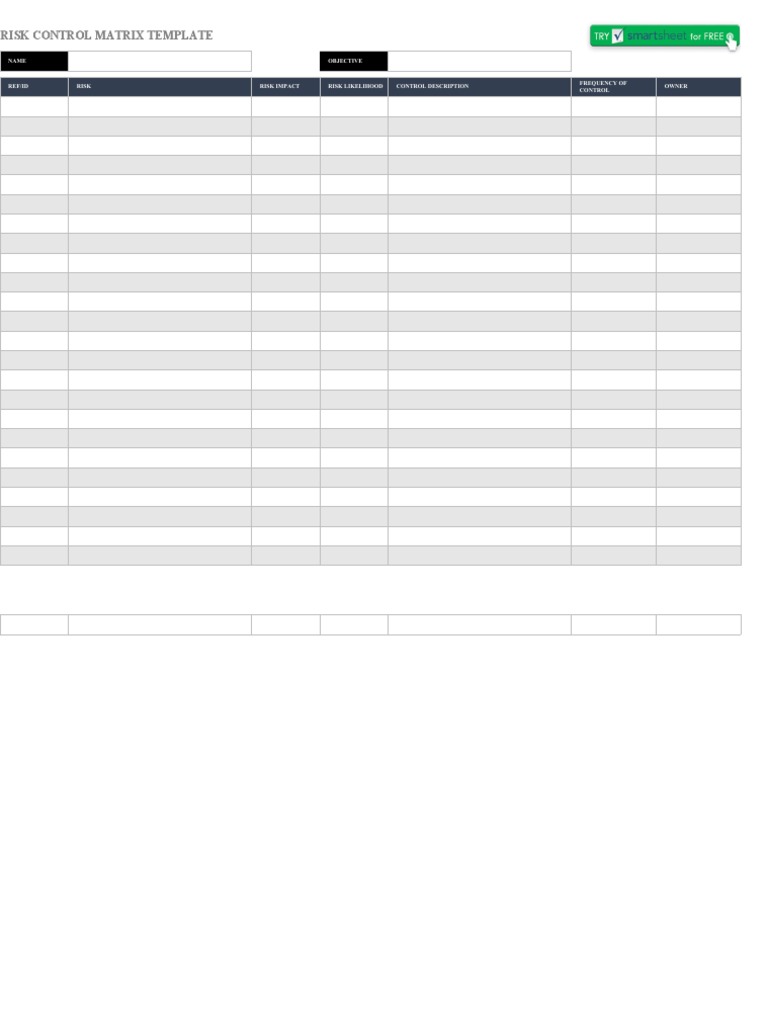 Risk Control Matrix Template: Name Objective | PDF