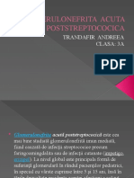 GLOMERULONEFRITA  ACUTA POSTSTREPTOCOCICA.pptx