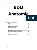 BDQ Anatomie