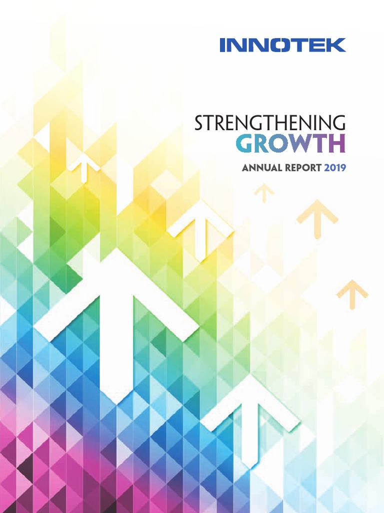 InnoTek 2019 Annual Report Summary | PDF | Chief Executive Officer ...