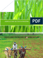 Problems of Pakistan's Agriculture Sector