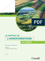 Le Portrait de L'agroforesterie