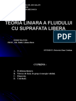 Teoria Liniara A Fluidului Cu Suprafata Libera