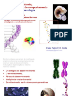 Neurociencia2