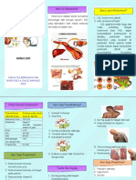 LEAFLET KOLESTROL.docx