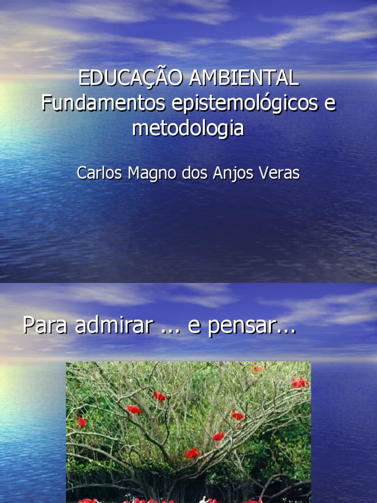Educação Ambiental e Sustentabilidade | PDF | Movimento ambientalista ...
