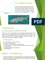 Cultivo de Peces