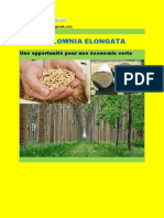 paulownia pour une économie verte Maroc-converti.pdf