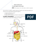 Ciencias Natuales Cuarto