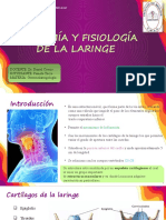 Anatomia y Fisiologia de La Laringe ORL-A7
