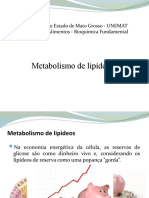 Metabolismo de lipídeos.pptx