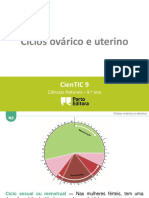 CTIC N3 - Ciclos Ovárico e Uterino