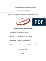 229918361-Lineas-Piezometricas-y-Lineas-de-Energia-1-1.docx