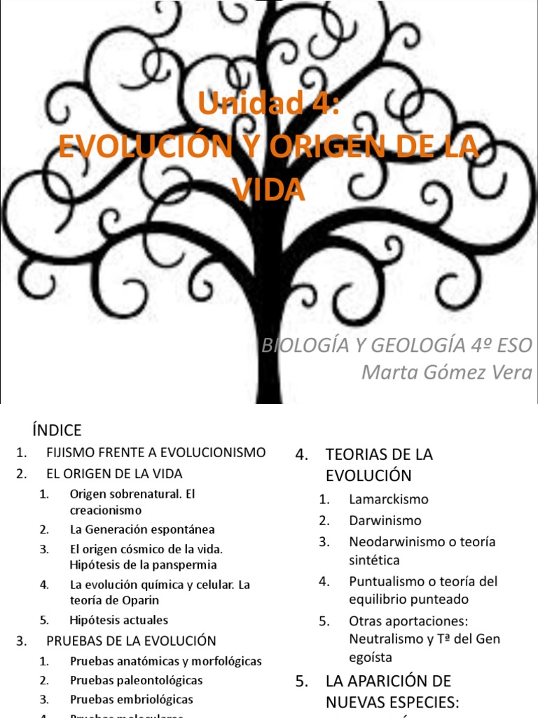 Evolución y Origen de la Vida en Biología | PDF | Evolución | Seleccion ...