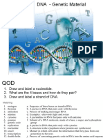 Ch 12 DNA Genetic Material.pdf