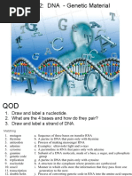 CH 12 DNA Genetic Material PDF