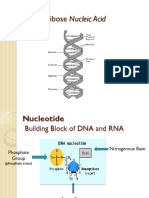 6 Genetics PDF