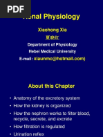 Renal Physiology: Xiaohong Xia