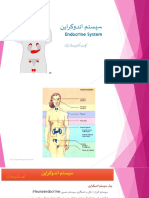 PDF Endocrine System