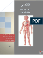 Angiology PDF