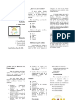 Triptico PDF Pacto Andino