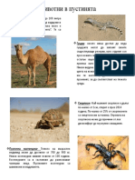 Животни в пустинята презентация