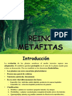 metafitas2020.pdf