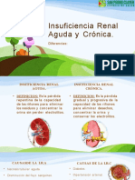 Insuficiencia Renal Aguda y Cronica