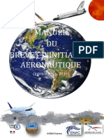 Manuel Du Brevet D'initiation Aéronautique PDF