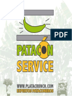 Patacon Service