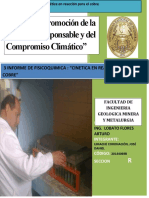 Quinto Informe Fisico Quimica Me211r