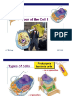 02Ch05organelles12007.ppt