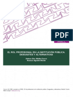 Rol Profesional en Inst Publicas Desgastes y Alternativas - Cucco.1995 Rev.2009 PDF