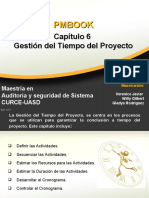 Plan Gestion Del Tiempo Del Proyecto