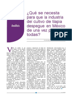 ¿Qué Se Necesita para Que La Industria Del Cultivo de Tilapia Despegue en México de Una Vez Por Todas?