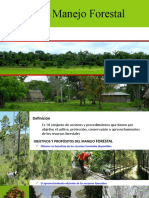 Manejo Forestal Sostenible - Definición, Objetivos y Prácticas del MFS